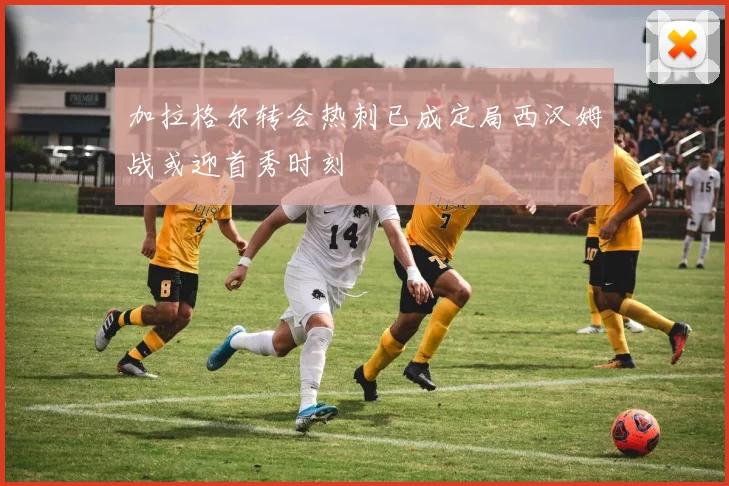 加拉格尔转会热刺已成定局西汉姆战或迎首秀时刻